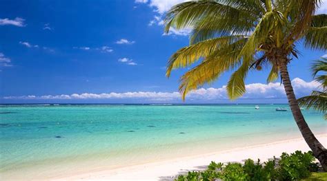 Reunion Island (Frankrike) & Mauritius 2 öar Indiska Oceanen Kombo