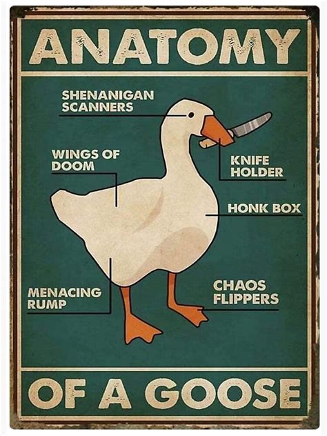 "Anatomy Of A Murderer Goose Meme Art" Art Board Print for Sale by nikopashko | Redbubble