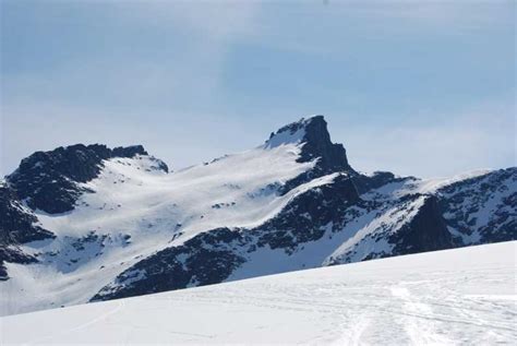 Tromso: Scenic & Eco-Friendly Snowshoeing Tour | GetYourGuide