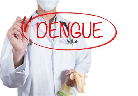 Dengue shock syndrome: Who is at risk? Signs and symptoms of DSS, treatment | Health Tips and News