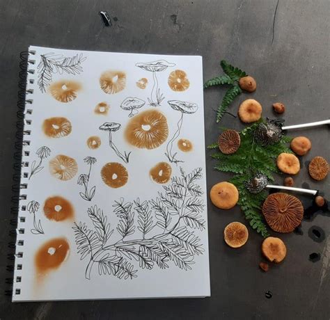 First time taking spore prints! | Mushroom crafts, Spore, Stuffed mushrooms