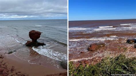 Hurricane Fiona: Satellite images show devastation in Atlantic Canada - BBC News