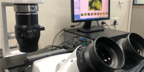 Binocular Microscope – Rasayani Biologics