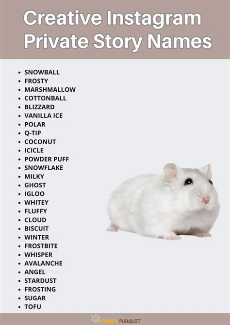 Funny Hamster Names [300+ Hilarious Naming Ideas]