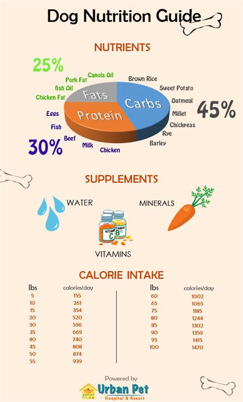 dog-nutrition-chart – Pets My Mate