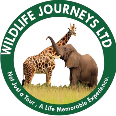 Akagera National Park - Wildlife Journey Ltd