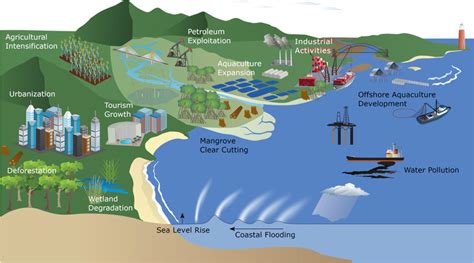 Integrated coastal zone management | IMBRSea