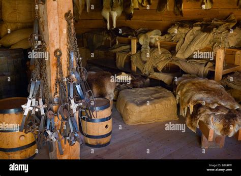 Fur trapping hi-res stock photography and images - Alamy