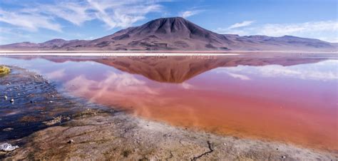 Laguna Colorada: Bolivia's Magnificent Red Lake