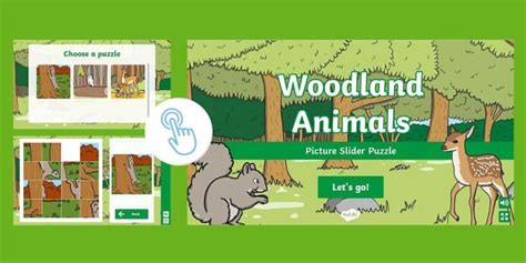 Woodland Animals Picture Slider Puzzle (teacher made)