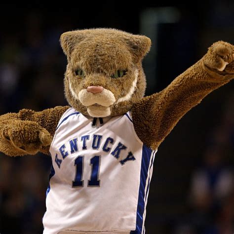 10 New Kentucky Wildcats Mascot Pictures FULL HD 1920×1080 For PC ...