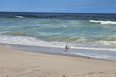 NJ beach weather and waves: Jersey Shore Report for Mon 8/28