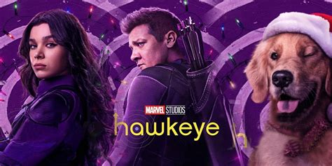 Hawkeye Cast and Character Guide: Who's Who In the New MCU Series?