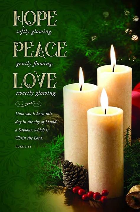 Amazon.com: christmas church bulletin