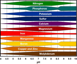 Chart: Relative availability of plant nutrients by soil pH. | Plant nutrients, Soil ph, Soil