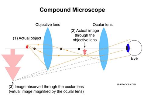 What is a Microscope? - Microscopy4kids