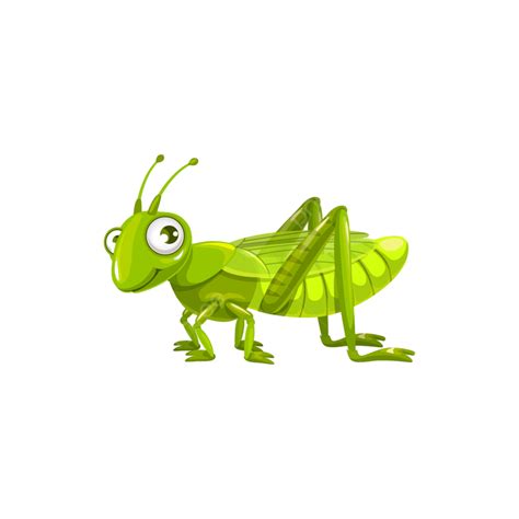 Grasshoppers Vector PNG, Vector, PSD, and Clipart With Transparent Background for Free Download ...