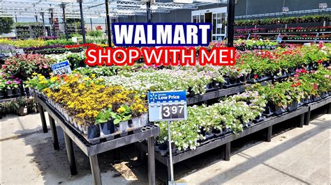 WALMART GARDEN CENTER FLORAL PLANTS OUTDOOR PLANTS SHOP WITH ME - YouTube