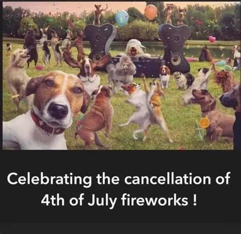 View 14 Dog Fireworks Meme - enrollclesz