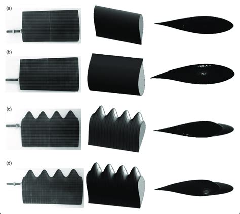 Designed and prototyped wings: (a) wing A (smooth leading-edge wing... | Download Scientific Diagram