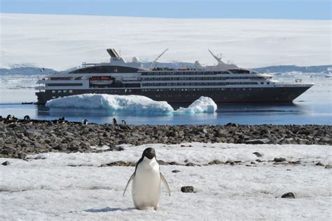 Luxury Antarctica Cruises | Antarctica Cruise Specialists | Eclipse Travel