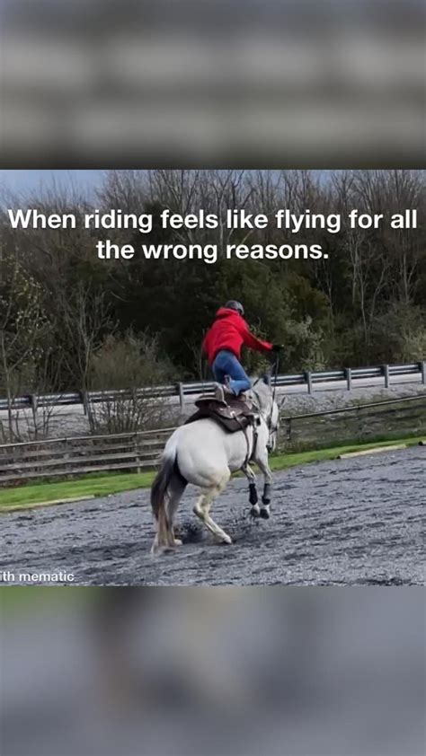 Horse Fails | Funny horse pictures, Horses, Pretty horses