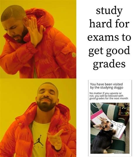 The best exam memes :) Memedroid