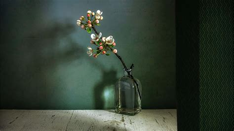 Download Still Life Picture Flower Vase | Wallpapers.com