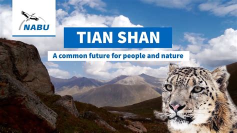 Tian Shan mountains - Future for snow leopards and people - YouTube