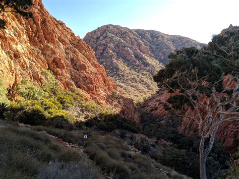 Photo from the Larapinta Trail, NT, Australia : r/australia