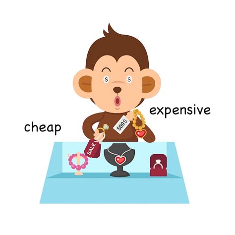 Premium Vector | Opposite cheap and expensive illustration