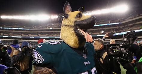 Dog Masks Sold Out On Amazon Twice Already By Eagles Fans Ahead Of NFC ...