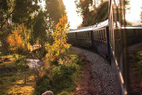 Hiram Bingham, A Belmond Train, Machu Picchu | Serandipians Train Partner