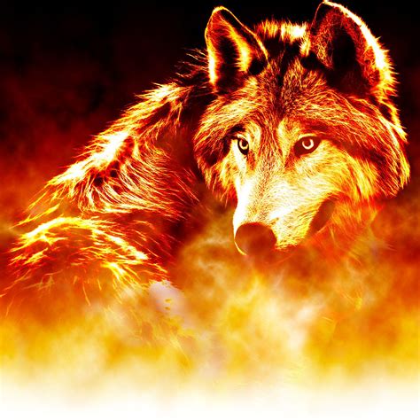 Cool Fire Wolf Wallpapers - Top Free Cool Fire Wolf Backgrounds ...