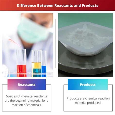 Reactants vs Products: Difference and Comparison