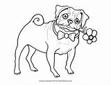 Printable Pug Coloring Pages  Home sketch template