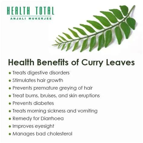 Benefits of Curry Leaves | Health, Health benefits, Prevent diabetes