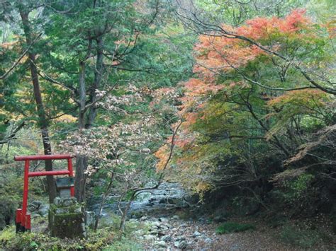 The power of nature - Green Shinto