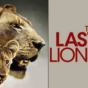 The Last Lions - Rotten Tomatoes