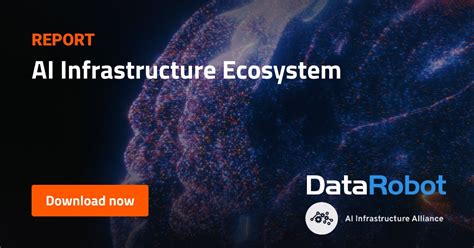 AI Infrastructure Ecosystem - DataRobot AI Cloud