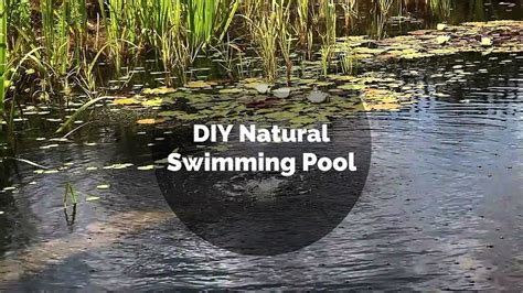 A DIY Swimming Pool - Thehomesteadingboards.com