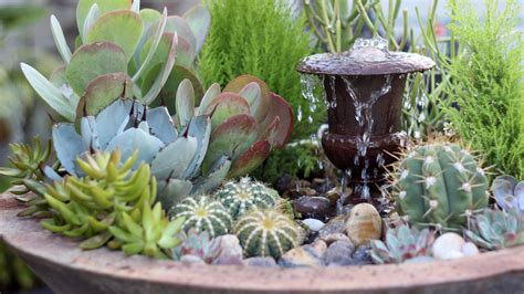 [VIDEO] MAKE THIS SUCCULENT WATER FEATURE - I COULDN'T BELIEVE HOW EASY IT WAS ...