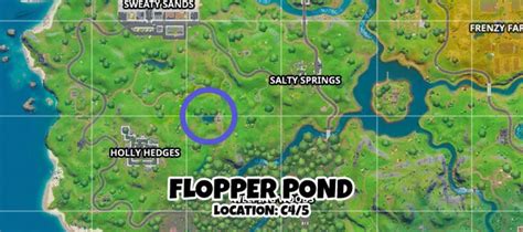 Fortnite Boat Launch, Coral Cove, Flopper Pond Locations - Pro Game Guides