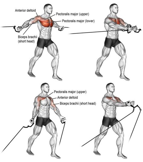 How to Cable standing flys | Cable workout, Chest workouts, Best chest ...