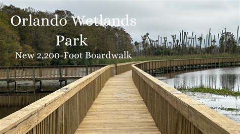 Orlando Wetlands Park - New 2,200-Foot Boardwalk | Christmas, Florida | Orlando, Florida - YouTube