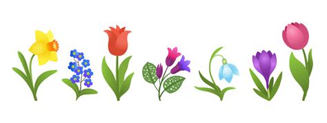 Spring Flowers Images Cartoon | Best Flower Site