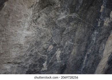 Gobustan Rock Art Stock Photos and Pictures - 984 Images | Shutterstock