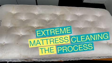 DEEP cleaning dirty mattress | SATISFYING | ServiceMaster Clean - YouTube