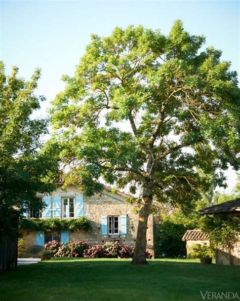 28 French Gardens - Best French-Style Garden Designs