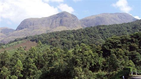 Not only development work, Western Ghats face threat from plantations ...